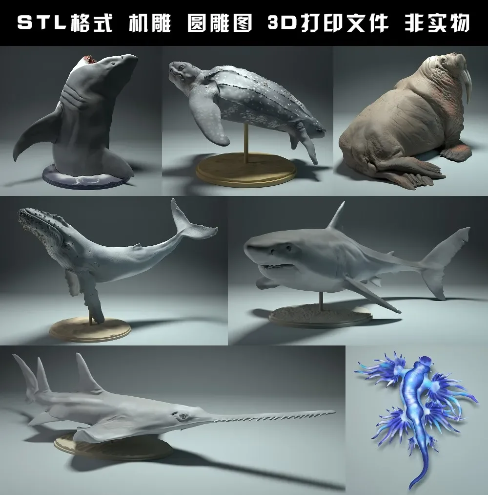동물, 북극곰, 타킨, 늑대, 들소, 흰 족제비, 토끼 - 3D Printing Rabbit 리뷰 및 가격
